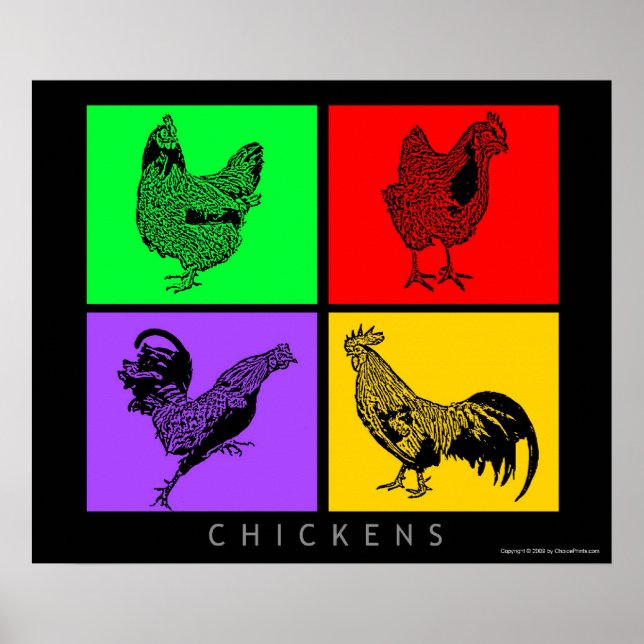 Poster Poulets colorés (Devant)