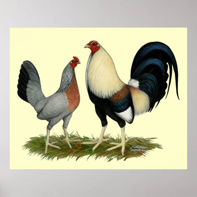 Poster Poulets dorés (Devant)