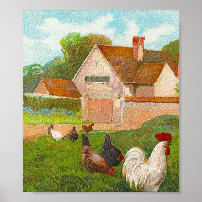 Poster Poulets vintages (Devant)