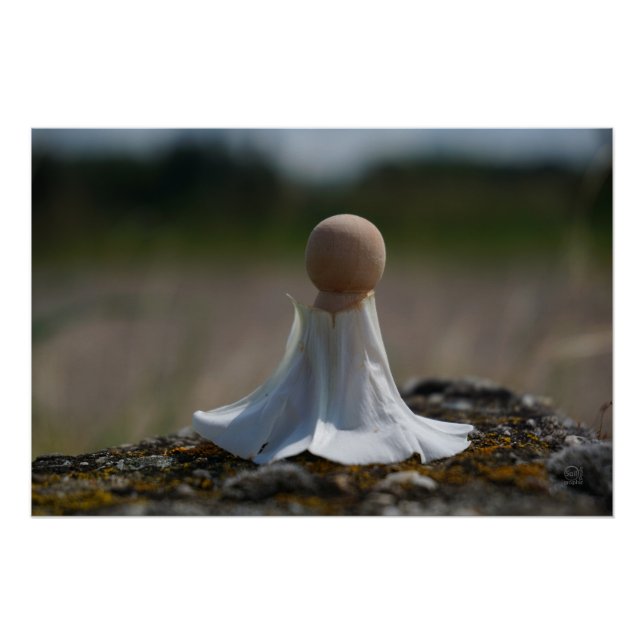 Poster Poupée sensuelle enveloppée dans une robe de fleur (Devant)