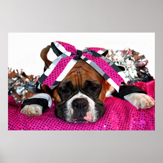 Poster pour chien pom-pom girl Boxer (Devant)