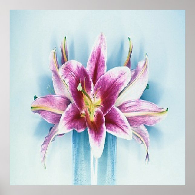 Poster pourpre Tiger Lilly (Devant)