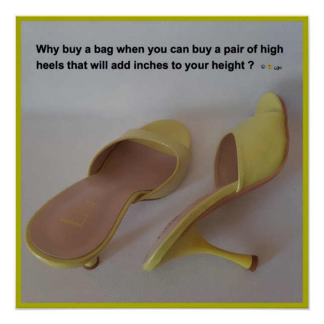 POSTER POURQUOI ACHETER UN SAC (Devant)