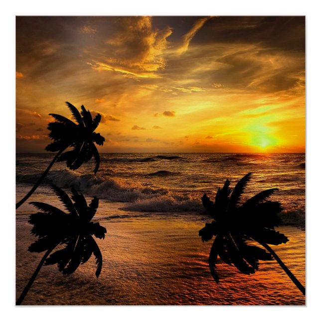 POSTER POURSUITE DES COUCHERS DE SOLEIL PAYSAGE OCÉANIQUE (Devant)