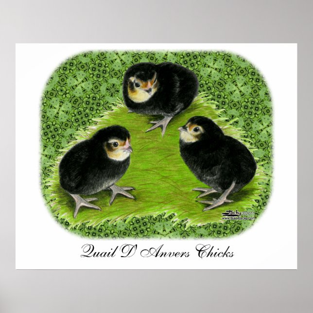 Poster Poussins Bantam dans le jardin (Devant)