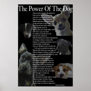 Poster Power of the Dog (grand)