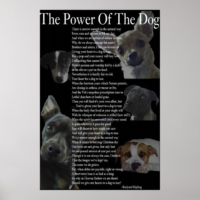 Poster Power of the Dog (grand) (Devant)
