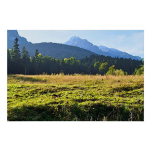 Poster Prairie de montagne verte – Nature sauvage Roumani