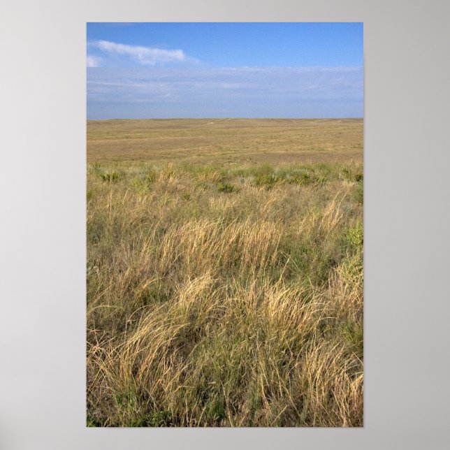 Poster Prairie de prairie à l'est de Sidney, Nebraska. (Devant)