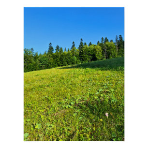 Poster Prairie verte des Carpates – Impression de montagn