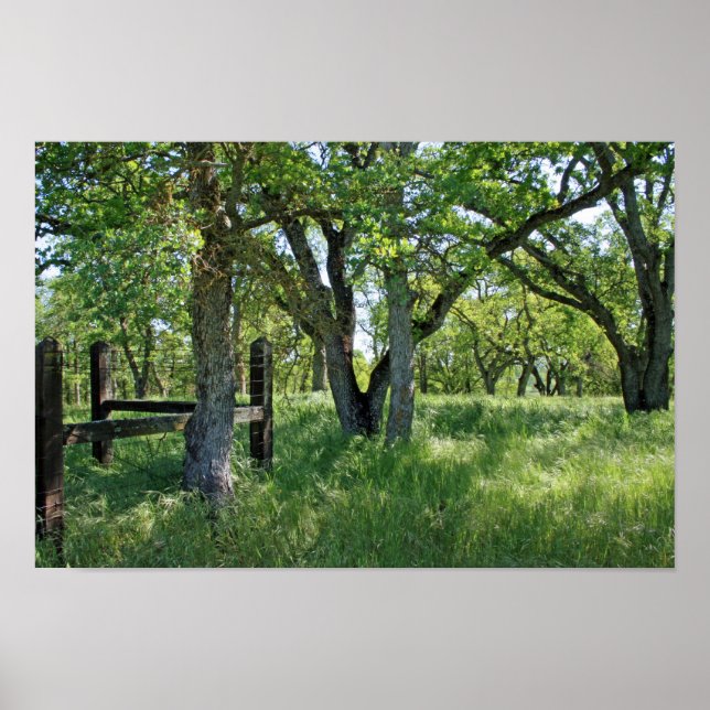 Poster "Pré-printemps" (Devant)