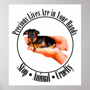 Poster Precious Lives