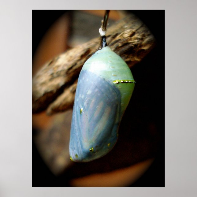 Poster Precipice (Devant)