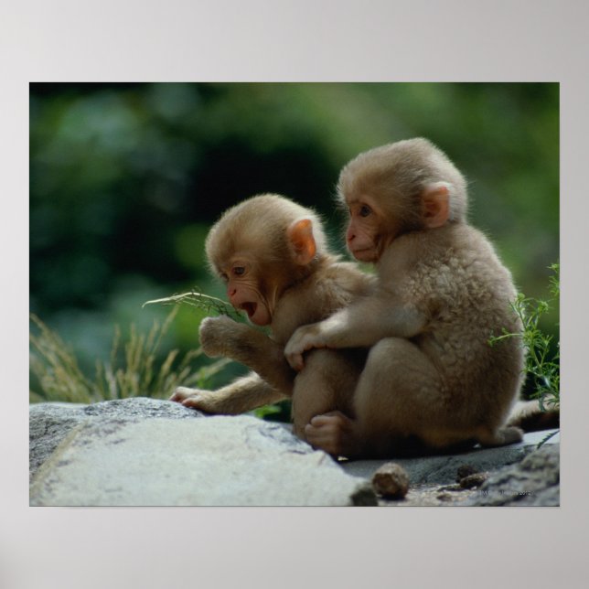 Poster Préfecture de Nagano, Japon (Devant)