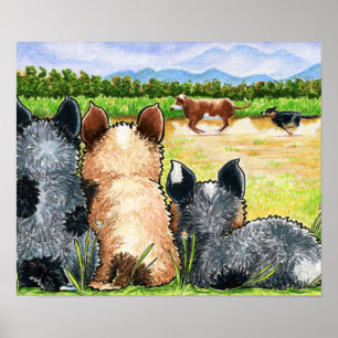 Poster Premier Lesson par Andie