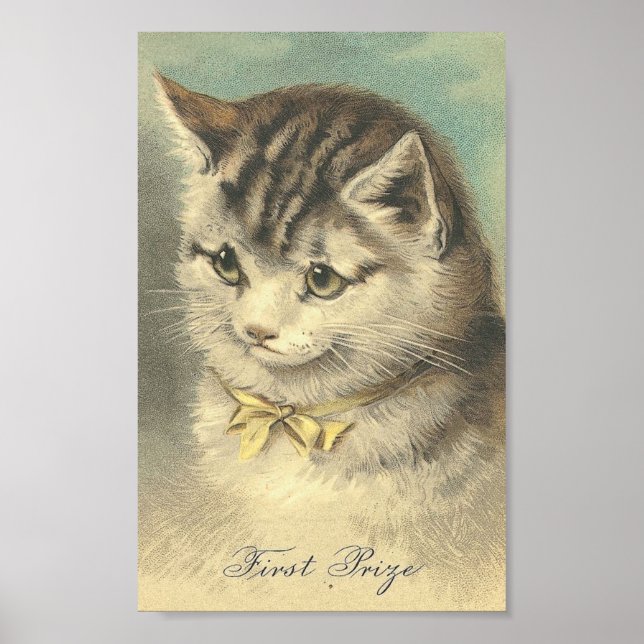 Poster Premier prix Chat Vintage (Devant)
