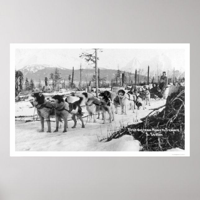 Poster Première équipe de chiens Alaska 1910 (Devant)