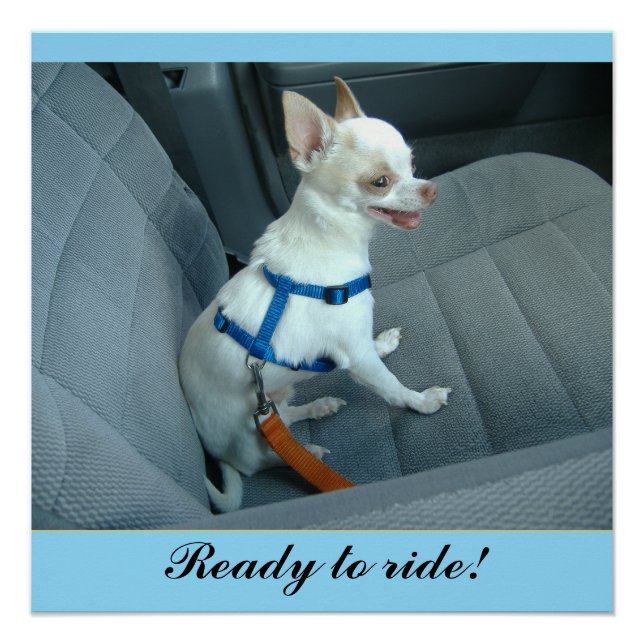 Poster prêt à rouler (Devant)