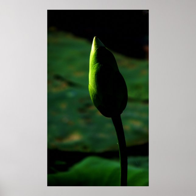 Poster Prêt pour la grandeur (Devant)