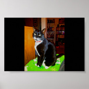 Poster Pretty Girl Lucy