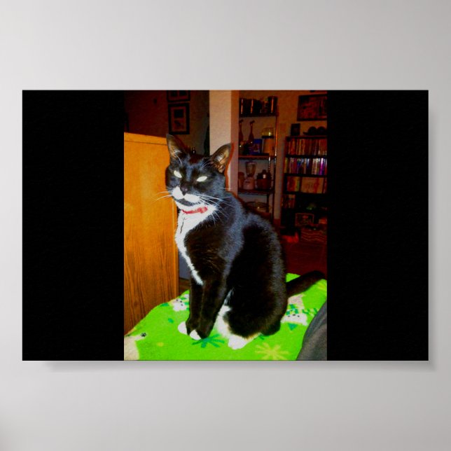 Poster Pretty Girl Lucy (Devant)