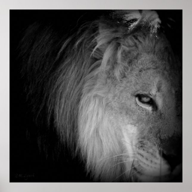 Poster Pride King (Devant)