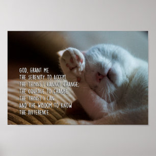 Poster Prière Sérénité Paisible Chat Dormir
