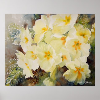 Poster Primrose Posy