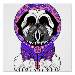 Poster Princesse Shih Tzu