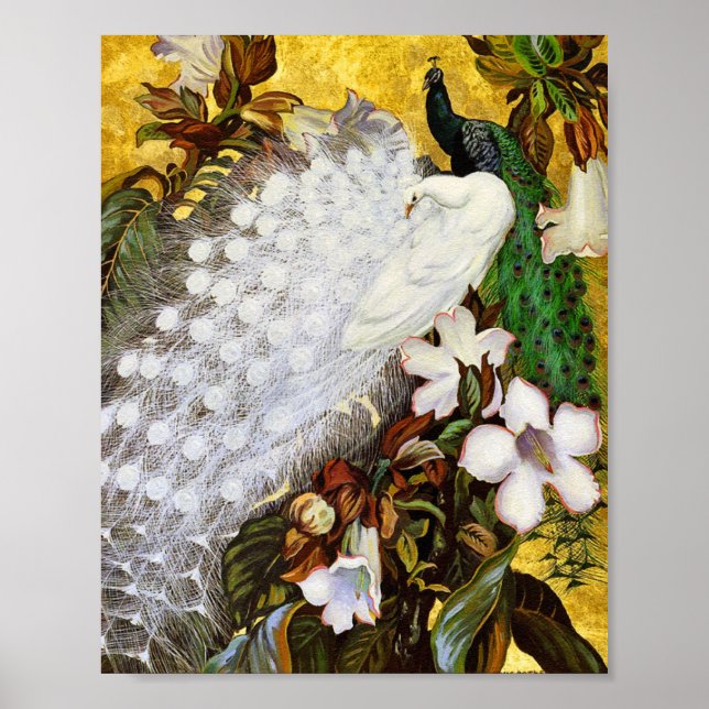 Poster Print: White and Blue Peacocks (Devant)