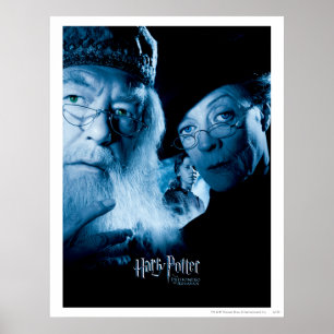 Poster Prisonnier d'Azkaban - espagnol 1