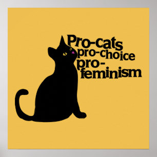 Poster pro-chats pro-choix pro-féminisme