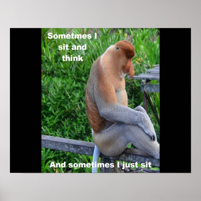 Poster Proboscis Monkey - Sometimes I Sit and Think (Devant)