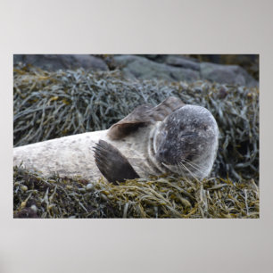 Poster Produit de personnaliser