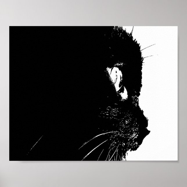 Poster Profil Cat (Devant)