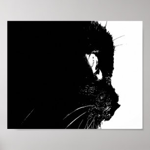 Poster Profil de chat