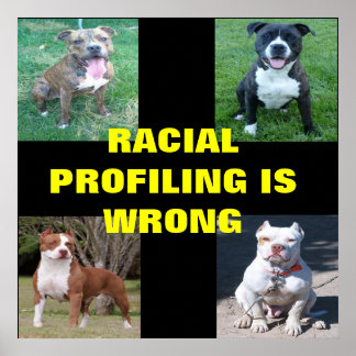 Poster Profilage racial