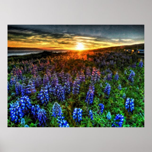 Poster Profondeur 58 (Devant)