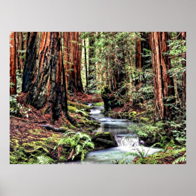 Poster Profondeur 92 Bristle Lum Focus (Devant)