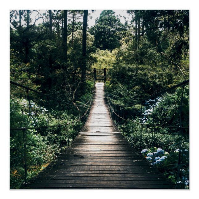 Poster Promenade À Travers La Forêt (Devant)