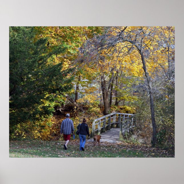 Poster Promenade Dans Le Parc (Devant)