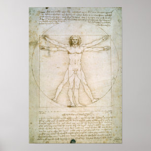 Poster Proportions de la figure humaine