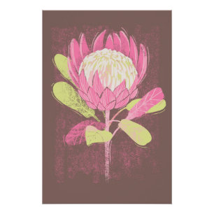 Poster Protea