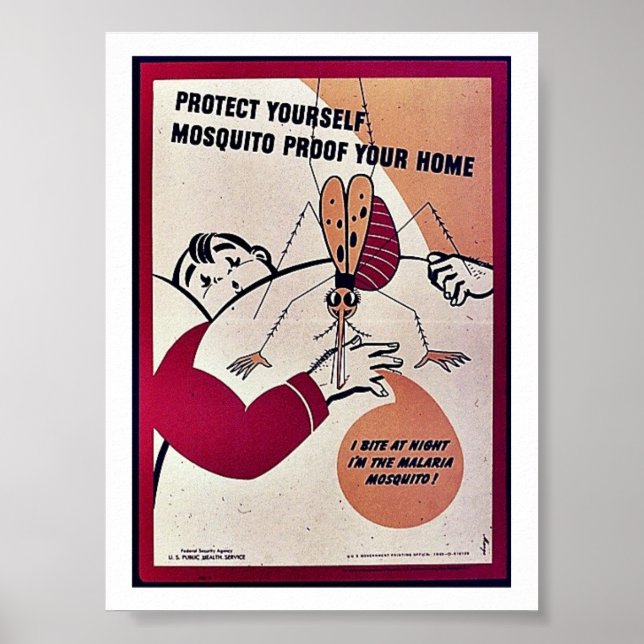 Poster Protect Yourself Mosquito Proof Your Home (Devant)