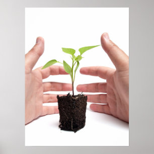 Poster Protection de l'environnement