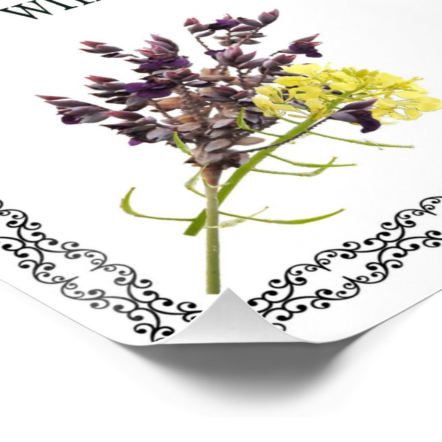 Poster Psaume 1, Pink Yellow Flower Design, Blessed, (Coin)