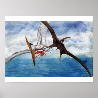 Poster Pteranodon