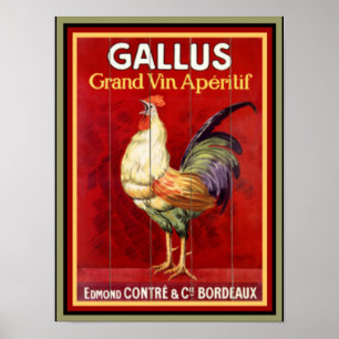 Poster publicitaire coloré Gallus Vintage 12 x 16