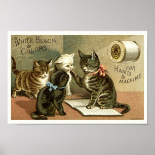 Poster publicitaire des chatons de l'époque victor