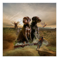 Pudelpointers, Chasse faisan